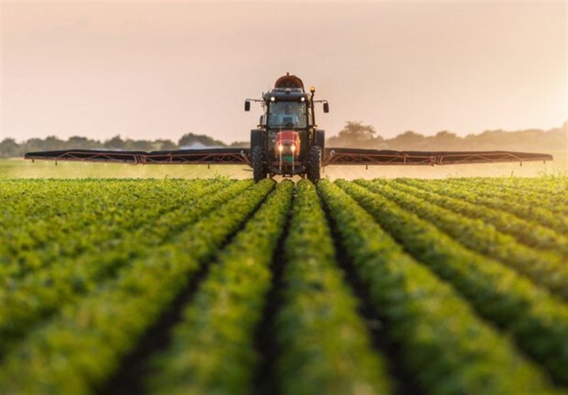 ۳۰ هزار میلیارد تومان نقدینگی برای اجرای کشاورزی قراردادی مورد نیاز است ۳۰ هزار میلیارد تومان نقدینگی برای اجرای کشاورزی قراردادی مورد نیاز است