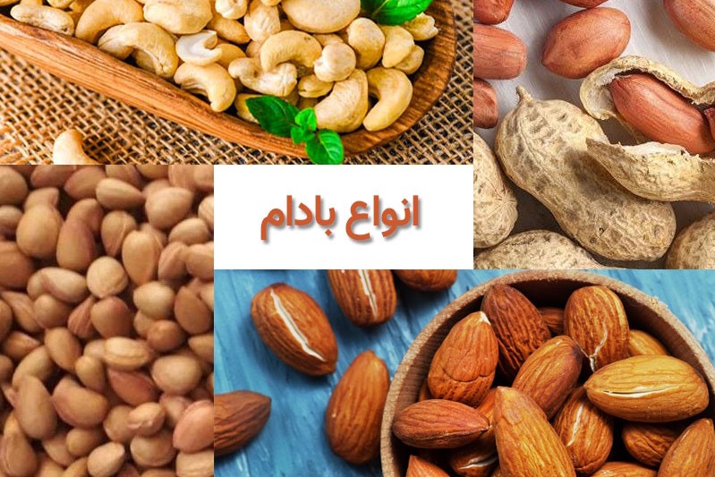 آشنایی با خاصیت های بادام ها آشنایی با خاصیت های بادام ها