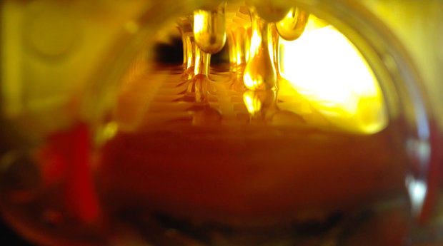 کندوی عسل اتوماتیک (عکس)