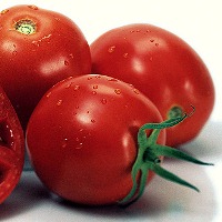 قیمت گوجه به حالت قبل بازگشت