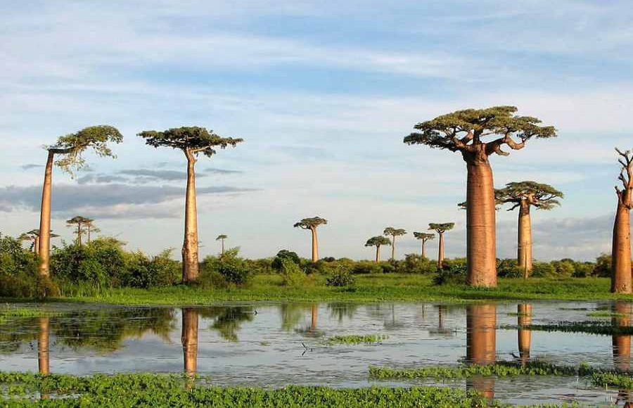 طبیعت زیبا در آفریقا (+عکس)