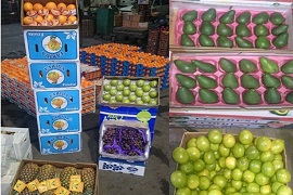 میوه‌های ممنوعه خارجی به شهرستان‌ها منتقل شدند