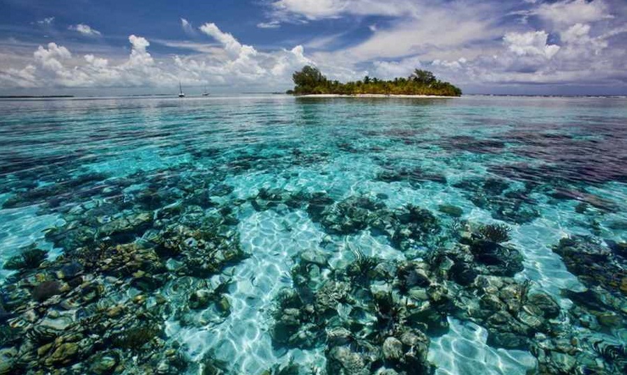 زیباترین صخره های مرجانی جهان (+عکس)