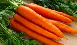 قیمت هویج در بازار ۵ برابر شد