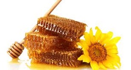 صادرات عسل ایرانی به اروپا