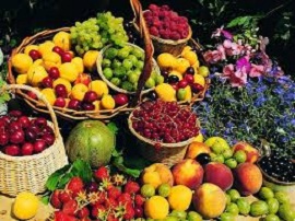 واردات هر نوع میوه ممنوع