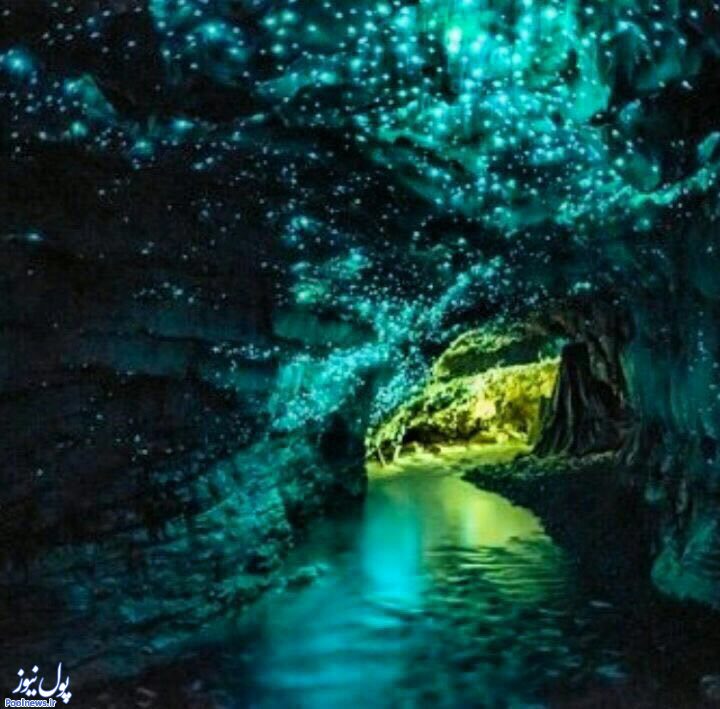 غار کرم شب تاب- نیوزلند (عکس)
