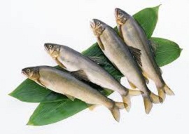 ارزان شدن ۴ نوع ماهی در بازار