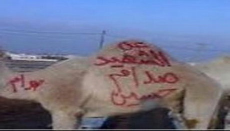 ذبح شتر برای شهید صدام!(+عکس)