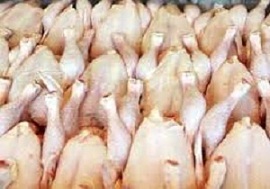 صادرات مرغ به روسیه تنها با تعرفه 4 درصدی امکان پذیر است