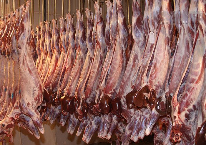 عرضه گوشت گرم وارداتی و داخلی آغاز شد