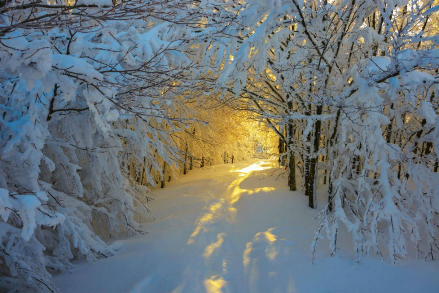 تصاویری از چشم اندازهای فوق العاده زیبای زمستانی