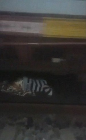 زنی که زیر قطار خوابید (+عکس)