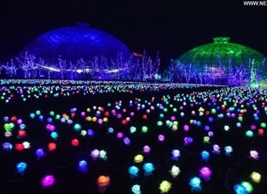 رونمایی از ده‌ها هزار چراغ گل رز در نمایشگاه نور (عکس)