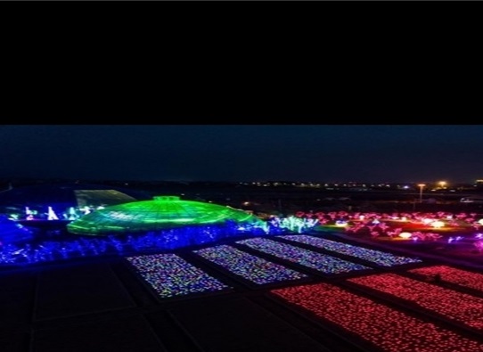 رونمایی از ده‌ها هزار چراغ گل رز در نمایشگاه نور (عکس)