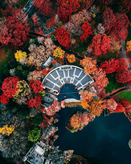 نمای خارق العاده از پاییز سنترال پارک نیویورک (عکس)