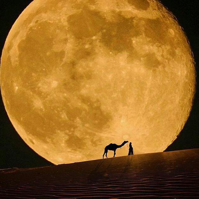 تصویری فوق العاده از خلوت ماه و صحرا (عکس)