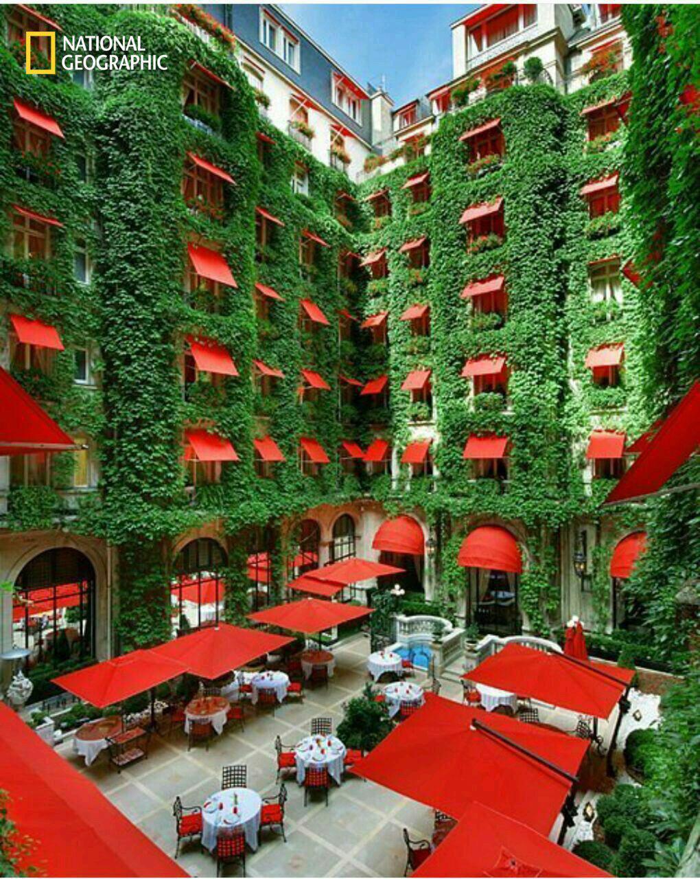 هتل سبز پاریس فرانسه (عکس)
