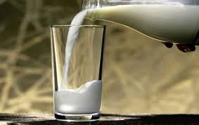 صادرات شیر شتر به آمریکا