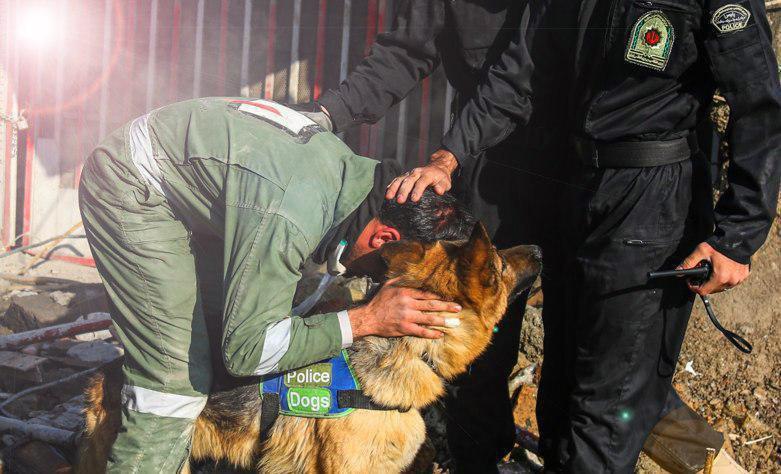 تشکر یک آتش‌نشان از سگ زنده‌یاب پلیس در پلاسکو (عکس)