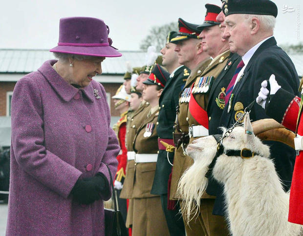 دیدار ملکه انگلیس با بز سلطنتی! (عکس)