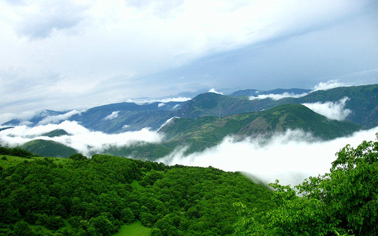 جنگل‌های ارسباران در شمال استان آذربایجان شرقی (عکس)