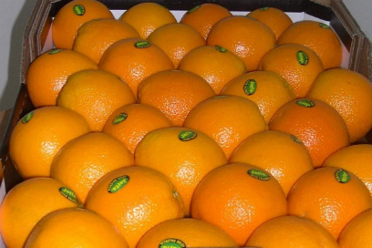 فروش پرتقال‌ مصری در بازار شب عید