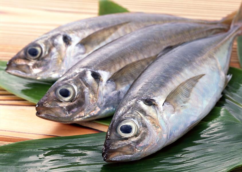 نرخ انواع ماهی در آستانه شب عید