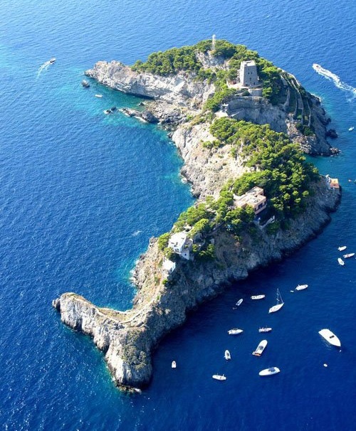 جزیره اي شبیه دلفین در ایتالیا (+عکس)