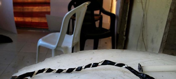 بردگی جنسی زن های سوری در خانه‌ ای ساحلی در لبنان (+عکس)