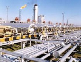 کره ای ها نفت و گاز ایران را به سوغات بردند