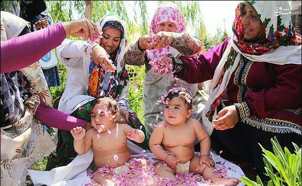 گل‌غلتان نوزادان در دامغان (عکس)