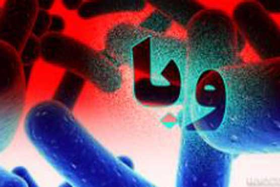 احتمال بروز وبا در تهران