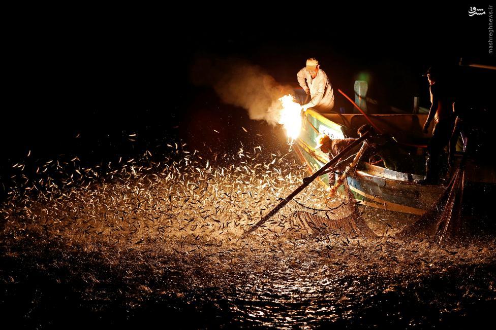 ماهیگیری با آتش (عکس)