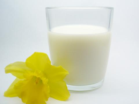 خواص مصرف شیر از دوران کودکی تا سالمندی