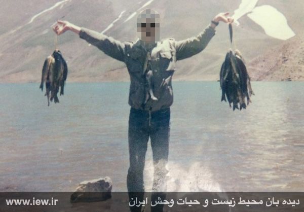 قاتل حیات وحش ایران دستگیر شد