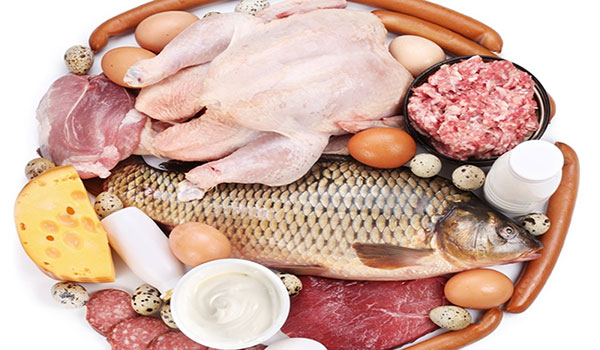 تحولات بازار مرغ و ماهی