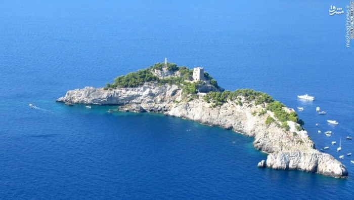 جزیره دلفینی (عکس)