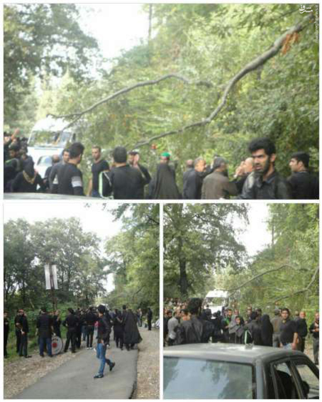 حادثه خونین سقوط درخت بر روی عزاداران (عکس)