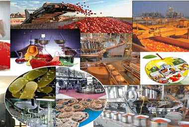 پیش‌بینی رشد 20 درصدی صادرات صنایع غذایی