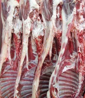 افزایش قیمت گوشت گوسفندی