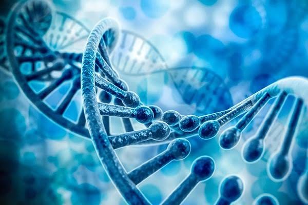 ارتباط اُتیسم با DNA تغییریافته