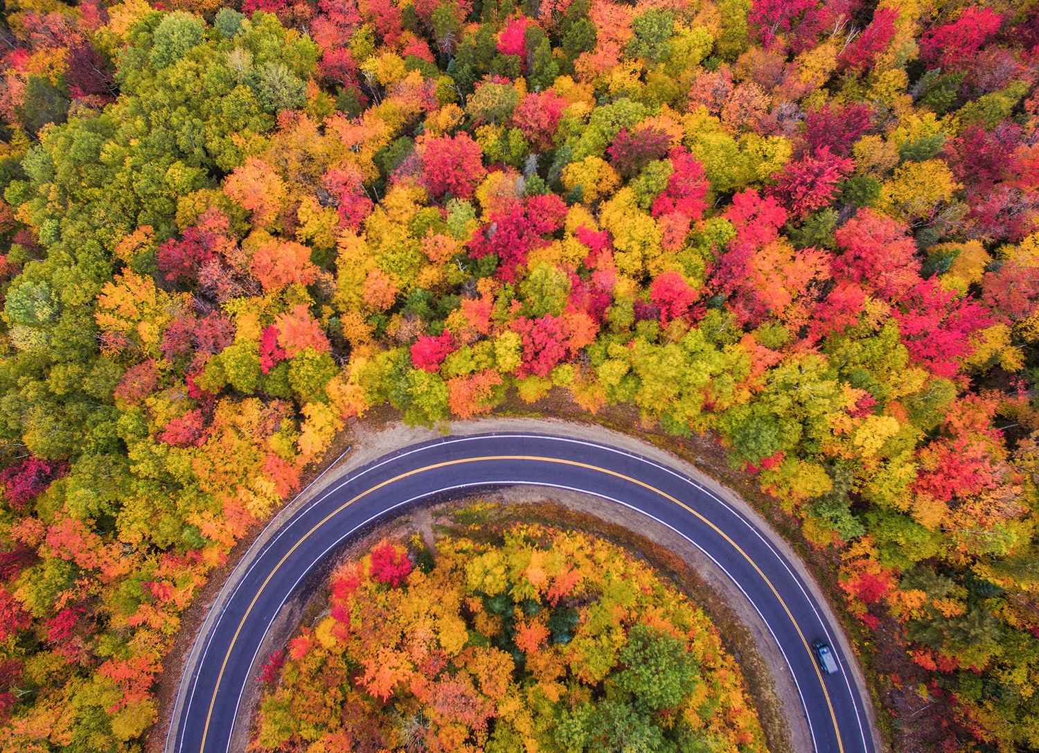 جاده پاییزی (عکس)