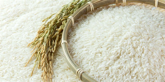 کاهش واردات برنج و افزایش 3 برابری قیمت برنج