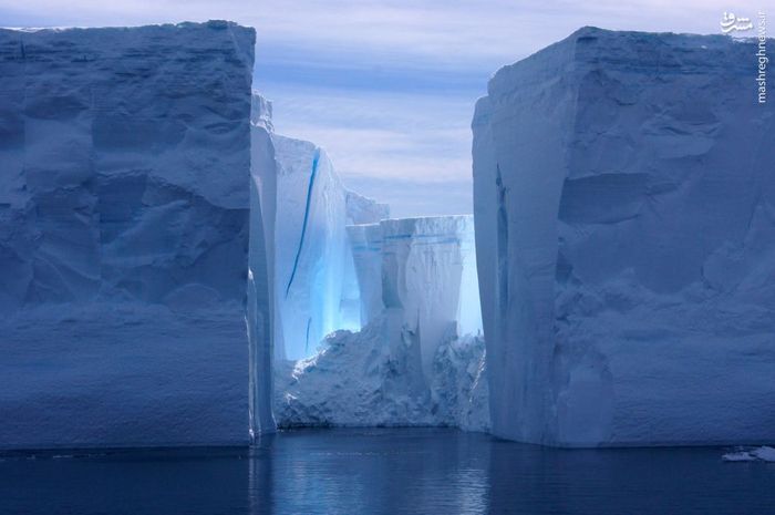 بزرگترین کوه یخ شناور دنیا (عکس)