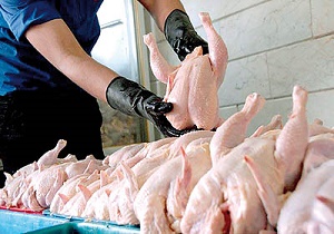 ثبات قیمت با عرضه مرغ در بورس کالا