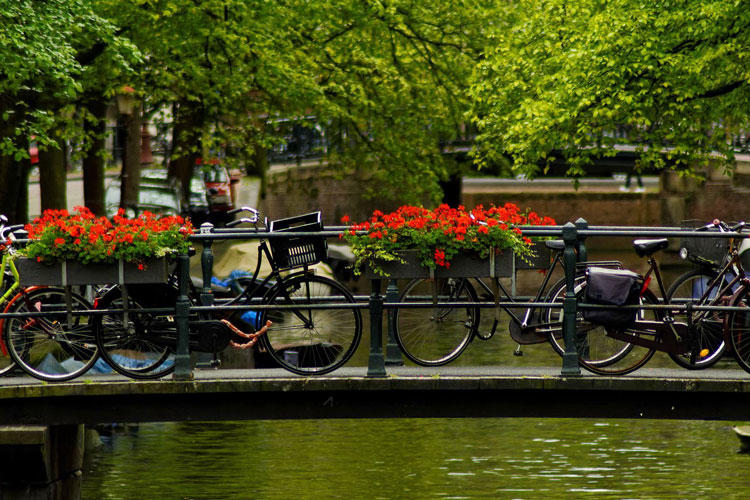 حقایق جالب در مورد آمستردام (+عکس)