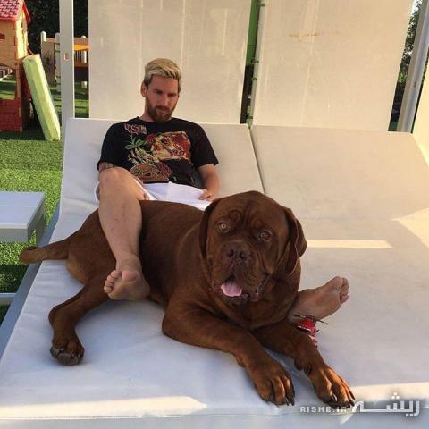 آقای فوتبالیست و سگ وحشتناکش (+عکس)