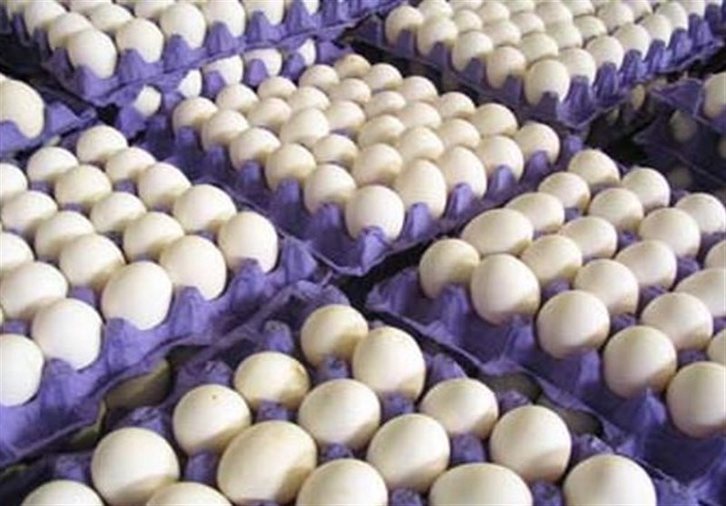 116 تن تخم مرغ وارد کشور شد