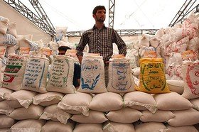 دستور جدید حجتی برای بازار برنج